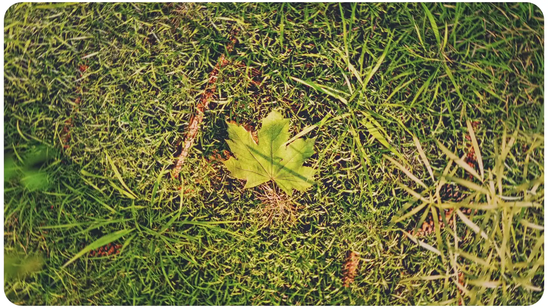 Разработка 3D-ролика для промышленной компании АзияТяжМаш