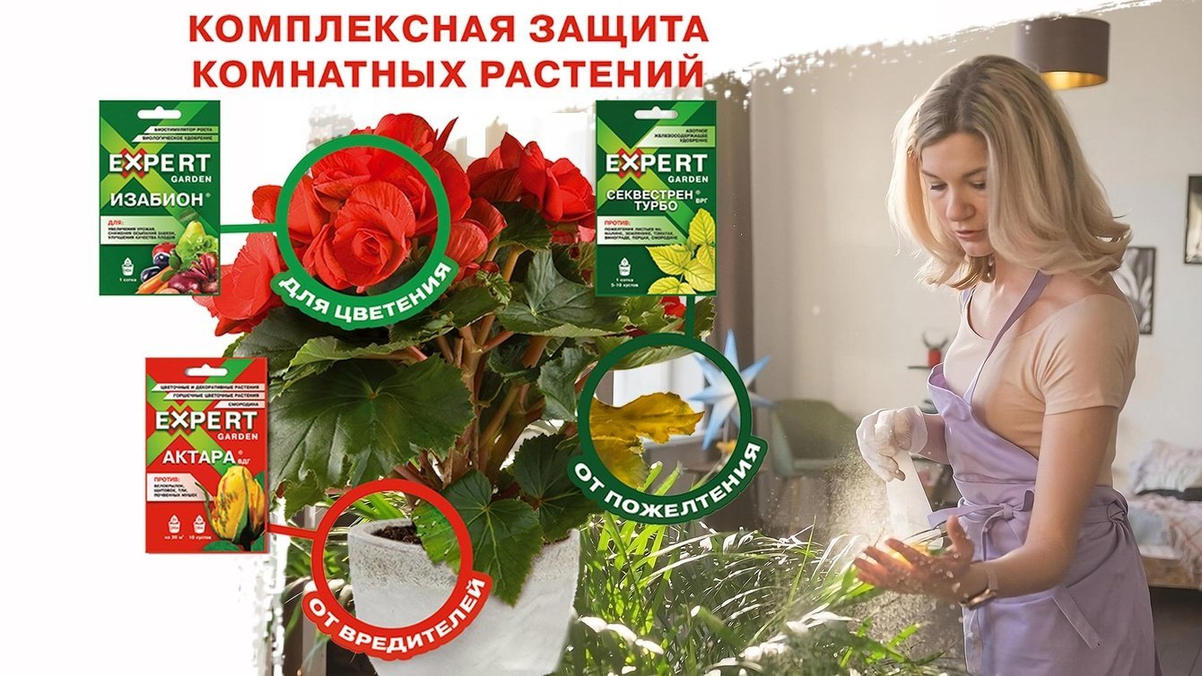 Реклама на WB: c нуля до 22 добавлений в корзину за день