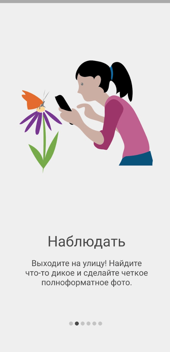 iNaturalist-сообщество людей, увлеченных исследованием окружающей среды.