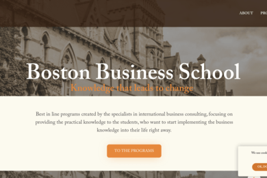 +1370 лидов и создание сайта для Boston Business School