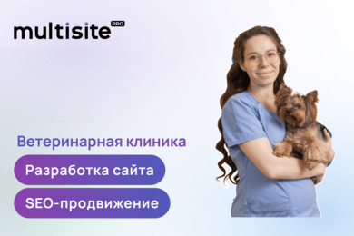 SEO-рывок Vet39: рост трафика за 4 месяца на сайте, сделанном на Tilda