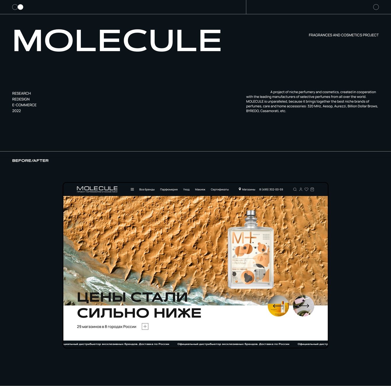 Концепция сайта MOLECULE