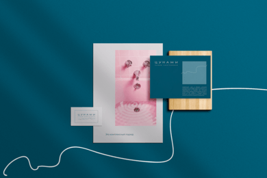 Логотип и фирменный стиль для салона сантехники