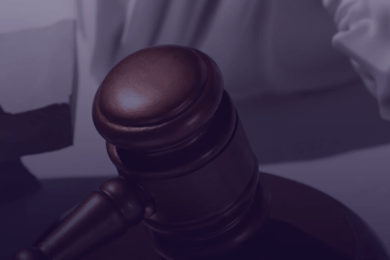 SEO продвижение для компании по банкротству физ. лиц и ИП Kreditanet