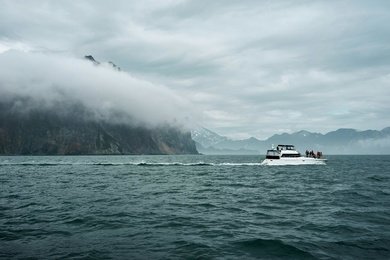 +3243 подписчика и +118 заказов экскурсий с помощью таргетированной рекламы для Kamchatka Ocean Trip