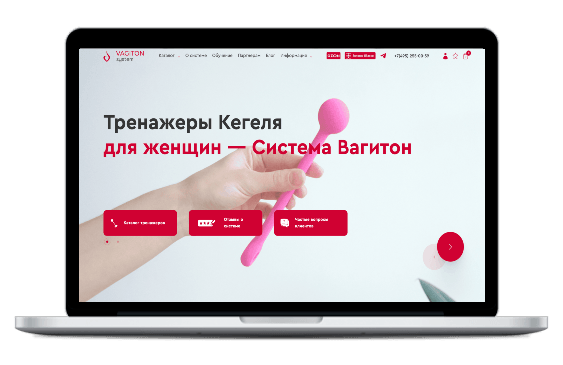 Кейс по продвижению сайта Vagiton.ru