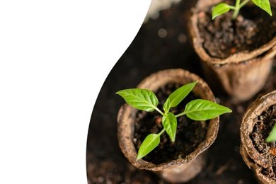 Реклама на WB: c нуля до 22 добавлений в корзину за день