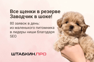 2272 заявки в месяц с SEO в питомник собак или как превратить питомник в завод по продаже щенков