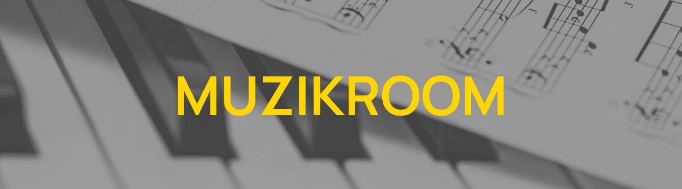 Вырастили трафик и узнаваемость бренда MuzikRoom несмотря на спад в нише