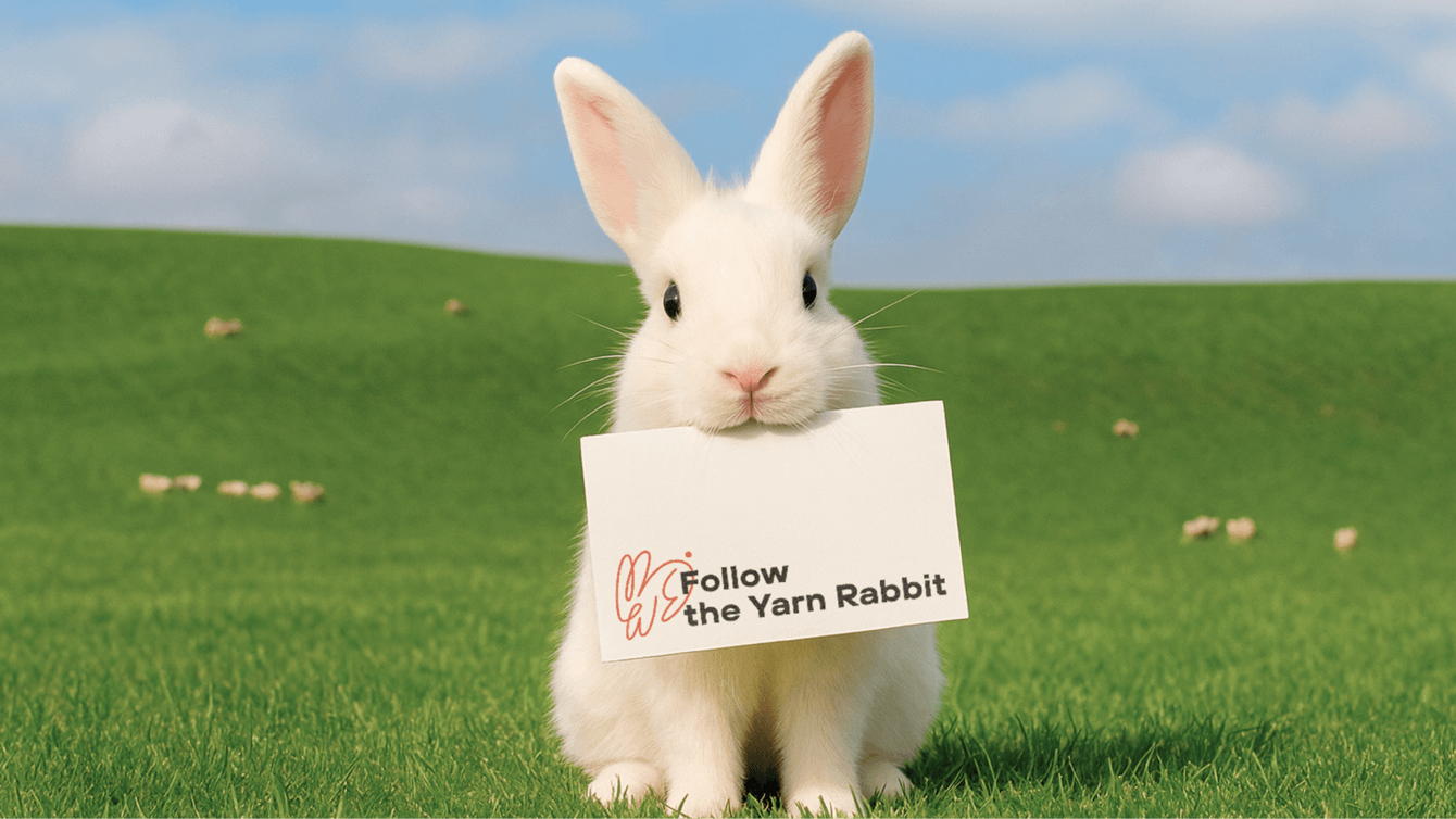 Follow the yarn rabbit