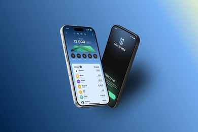 MetaSwap — мультивалютный криптокошелёк в Telegram с KYC и 2FA
