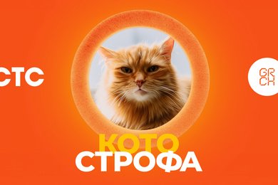 Интерактивный бот для СТС