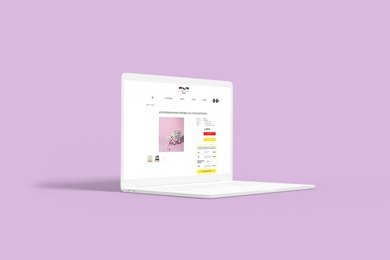 Продвижение у блогеров и разработка рекламной кампании