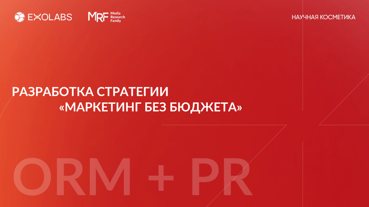 Разработка стратегии «Маркетинг без бюджета»