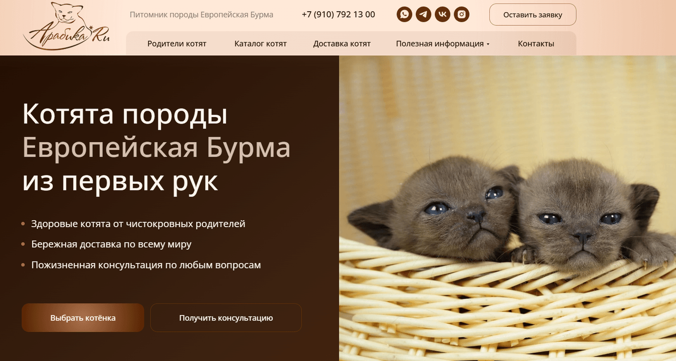 54 заявки за первый месяц работы сайта питомника кошек