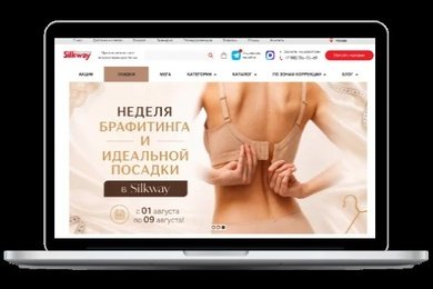 Кейс по созданию и продвижению сайта Silk-way.ru