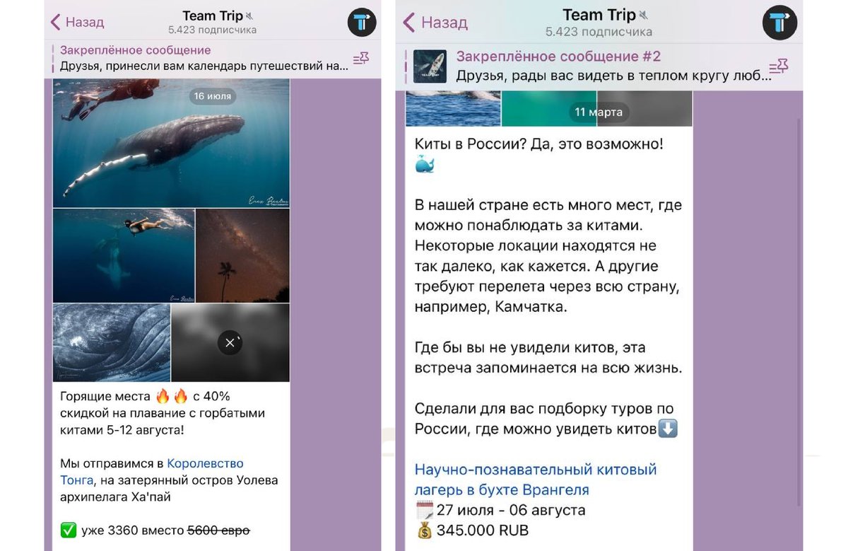 Team Trip: 7 500 заявок из соцсетей за 1,5 года на туры в дикую природу