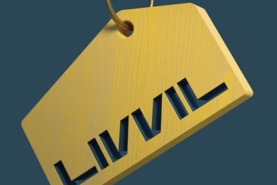 Брендинг и дизайн сайта для компании Livvil