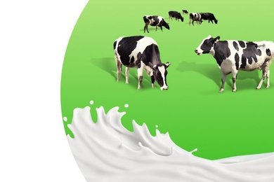 Как мы увеличили число покупателей в 4 раза за 4 месяца?