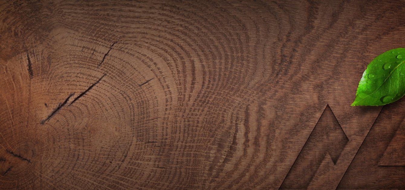 Логотип для компании Окадрев