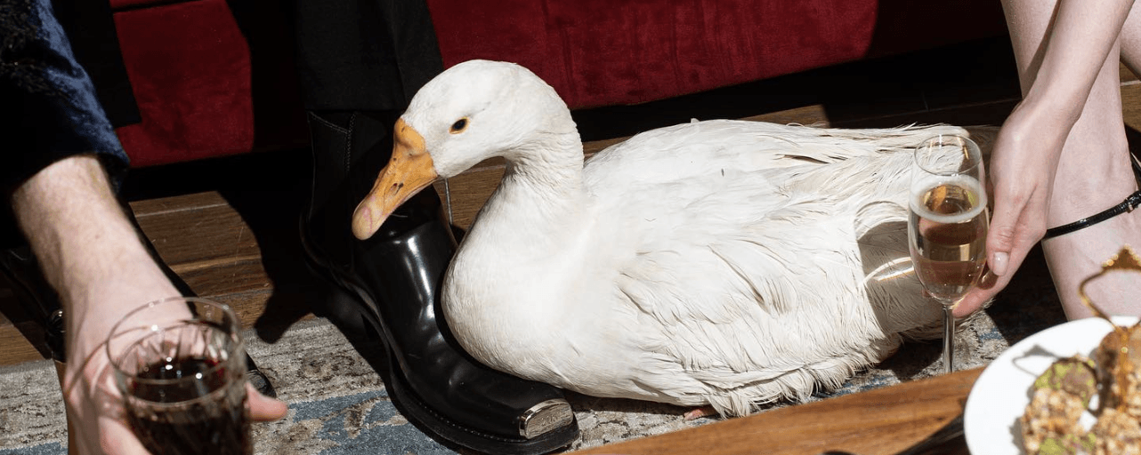 Запуск новой концепции премиального ресторана Goose Goose с охватом 1 500 000 на 3-й месяц работы