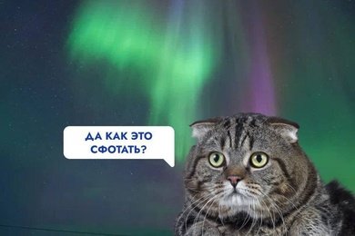 Telegram-канал туроператора My Tour: 262 заявки на туры за 5 месяцев