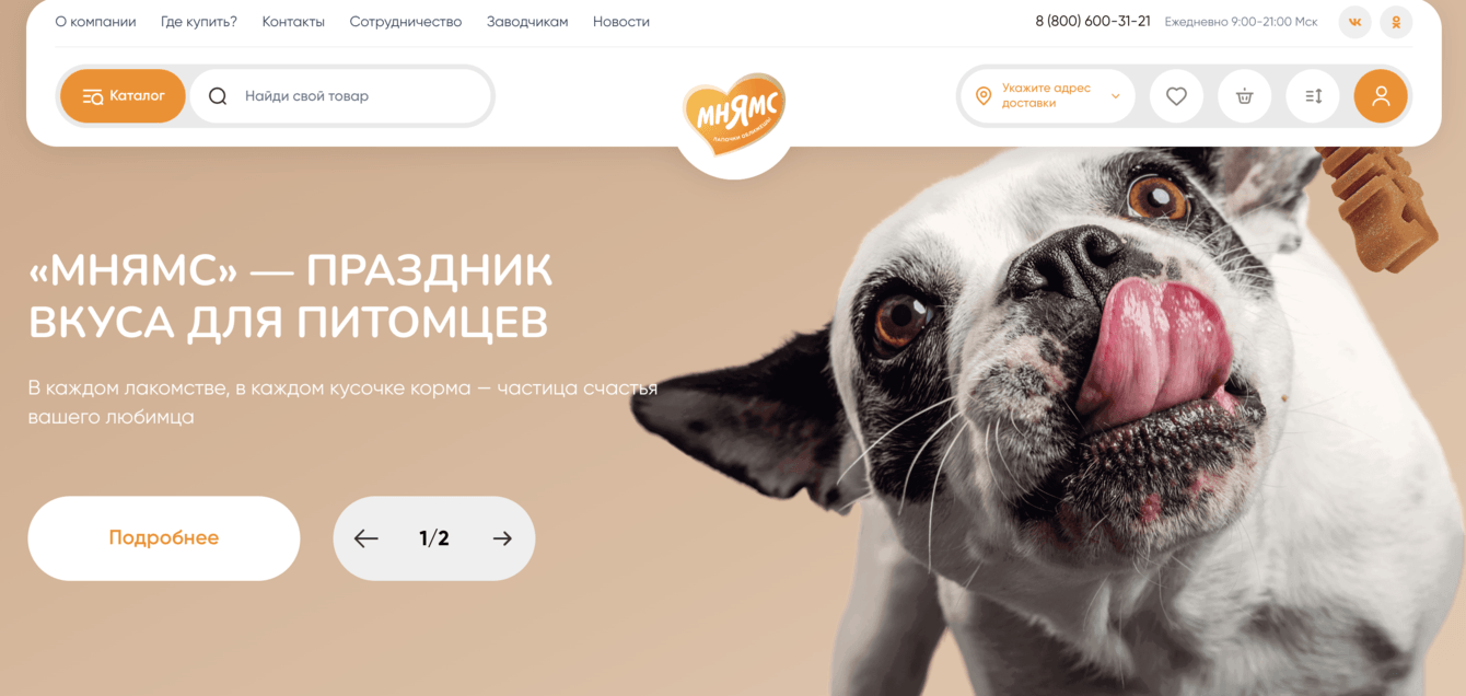 Разработка сайта Мнямс