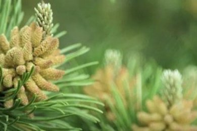 Интернет-магазин экопродуктов