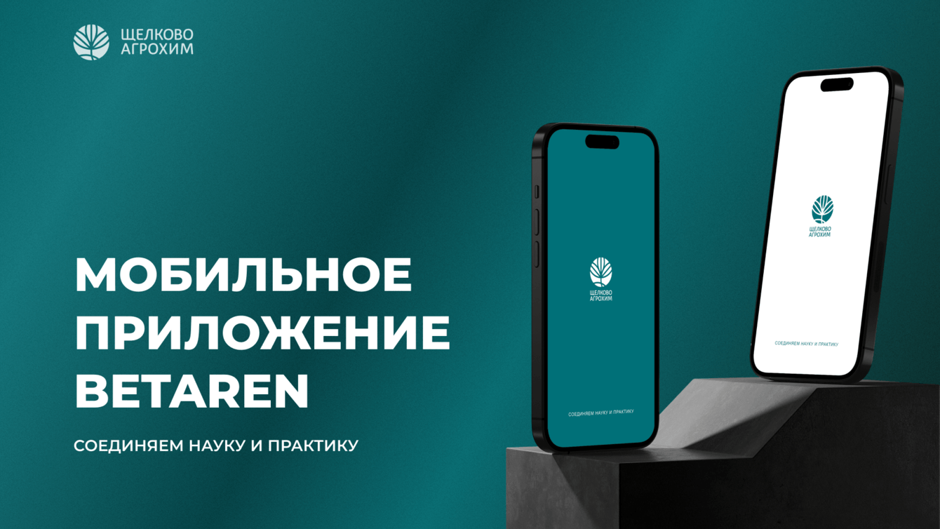 Мобильное приложение "Betaren"