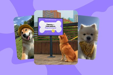 Пёсики на отдыхе: промокампания для собак и их людей от Яндекс Путешествий