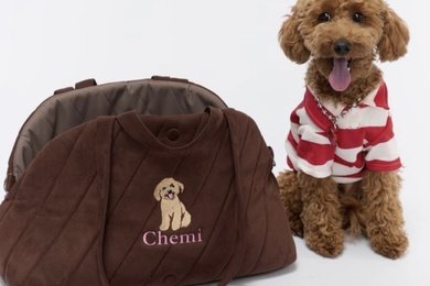 SMM-запуск и сопровождение AW Pets