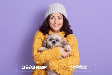 Продвижение интернет-магазина зоотоваров: как стратегия Web+App помогла снизить ДРР на 35%