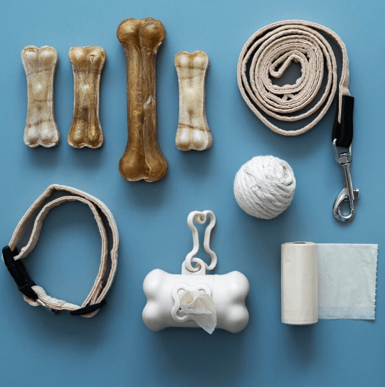 Продвижение интернет-магазина зоотоваров