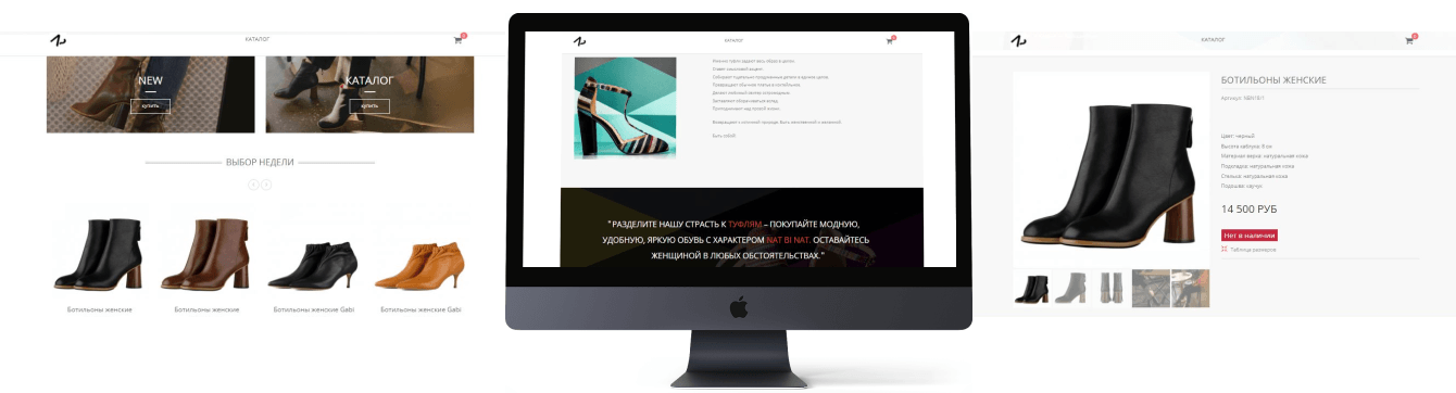 Разработка стратегии для интернет-магазина обуви NAT BI NAT