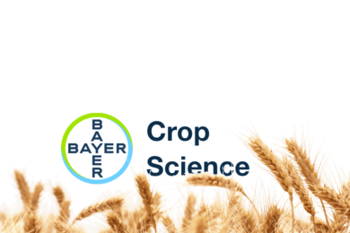 Редизайн сайта для лидера агропромышленной отрасли