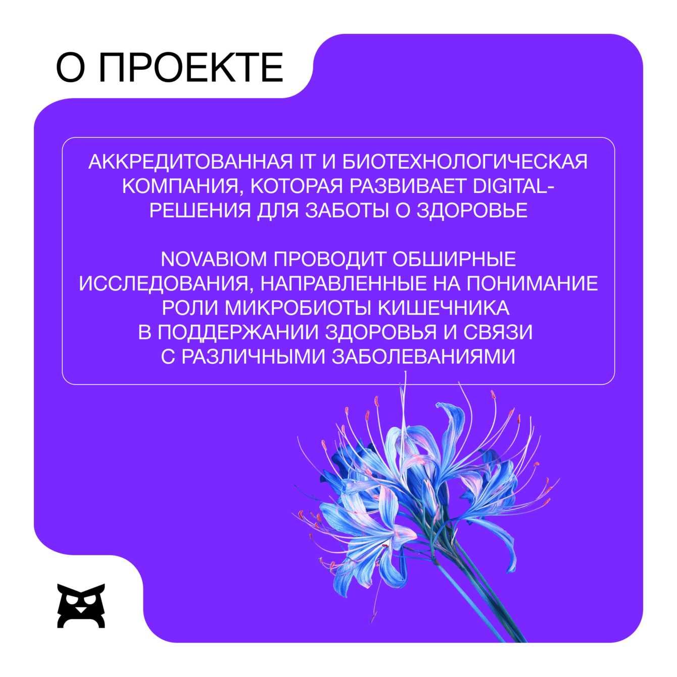 200+ ЛИДов для биотехнологической компании Novabiom