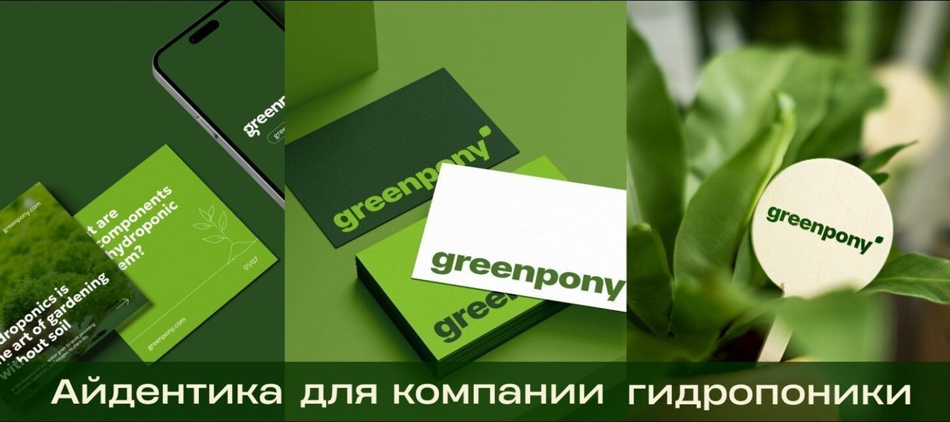 Пошаговая разработка айдентики — кейс для компании гидропоники