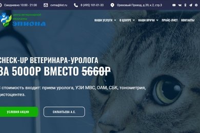 Создание сайта для ветклиники 
