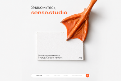 Знакомство с характером: как гусь стал фирменным персонажем Sense Studio