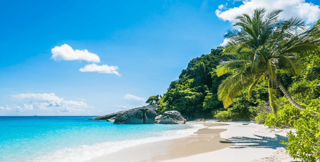 +169 фраз в ТОПе за 2,5 месяца для турагентства