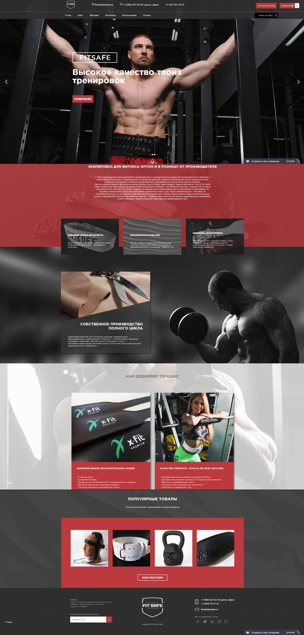 Создание интернет-магазина для компании FITSAFE