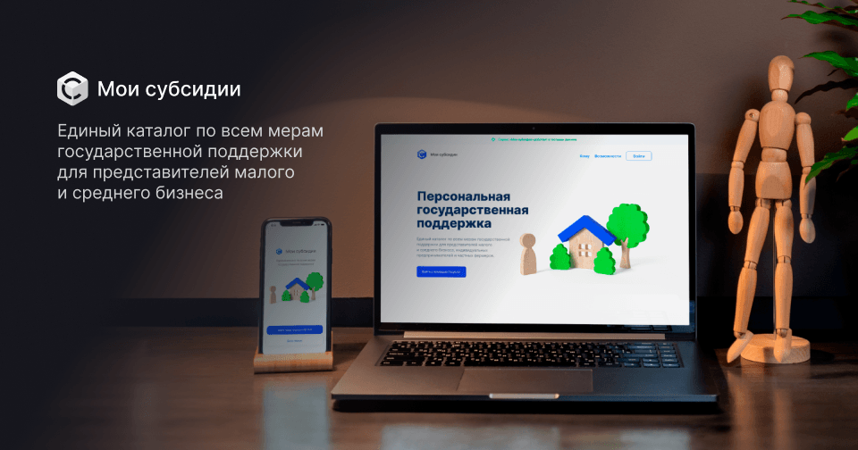 «Мои субсидии» — разработка регионального информационного сервиса для содействию МСБ