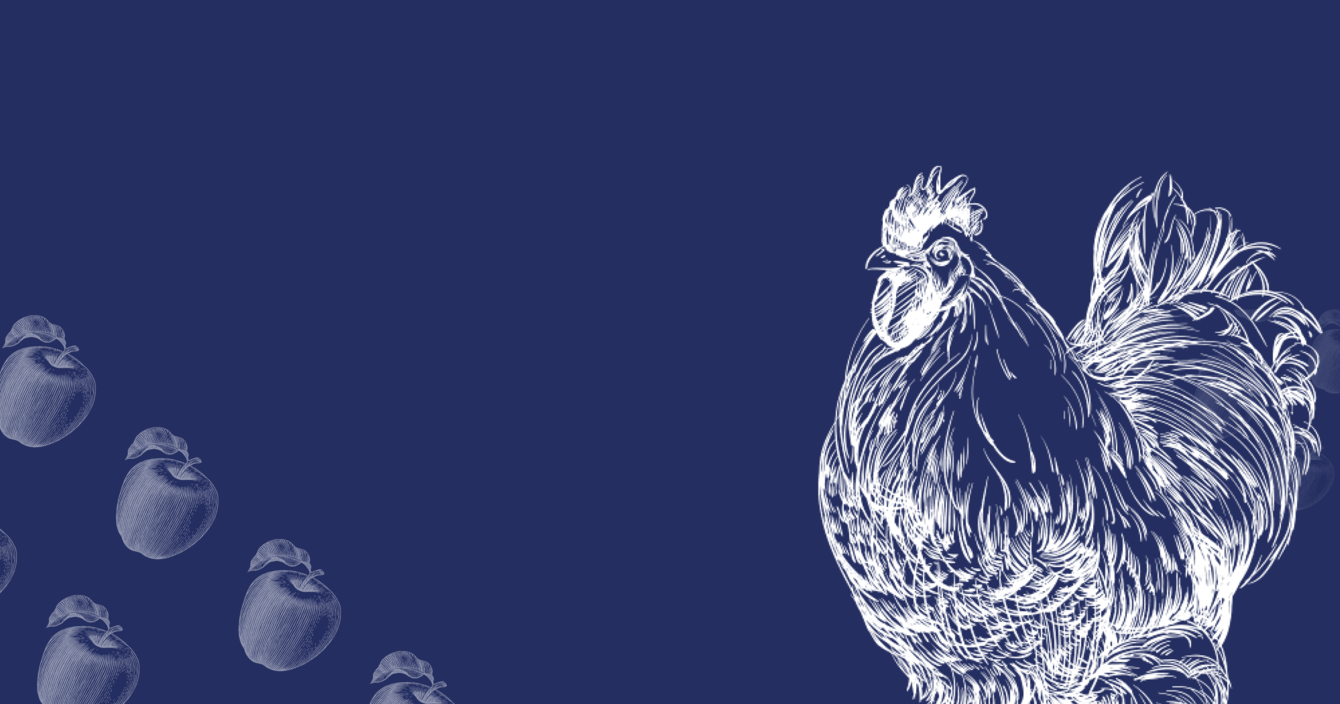 Вышли в ТОП-10 по поисковым запросам