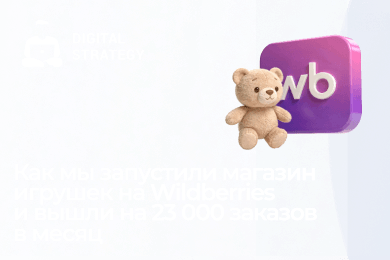 Как мы запустили магазин игрушек на Wildberries и вышли на 23 000 заказов в месяц