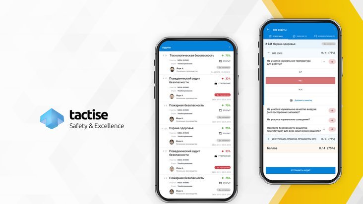 Tactise Аудиты