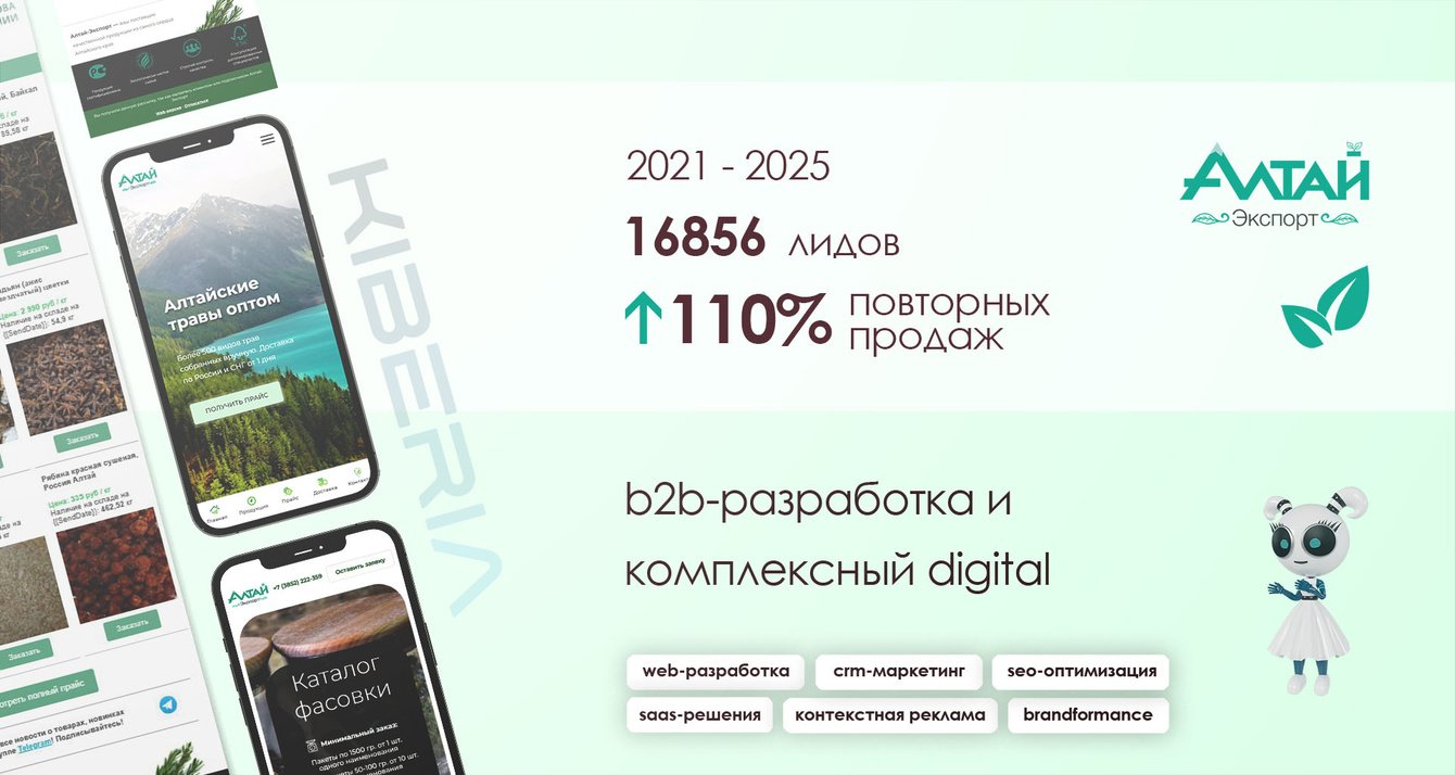 b2b-разработка + комплексный digital = 16856 лидов и 110% роста за 5 лет