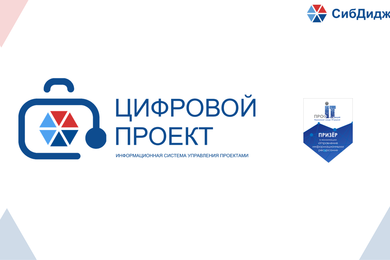 Информационная система управления проектами