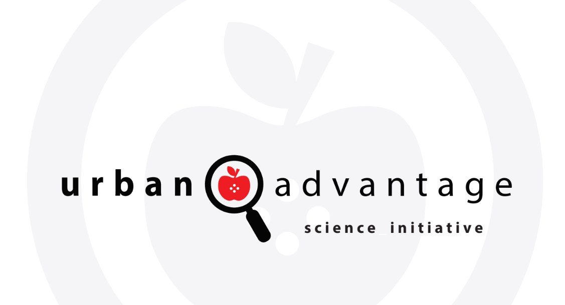 Редизайн бренда для Американского Музея Естественной Истории