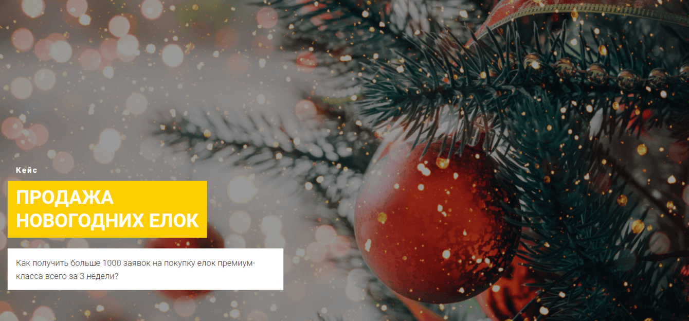 Как получить больше 1000 заявок на покупку елок премиум-класса всего за 3 недели