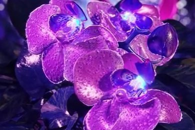 Love Republic - Создание 3D видео ролика со сторителлингом про экологические инициативы бренда